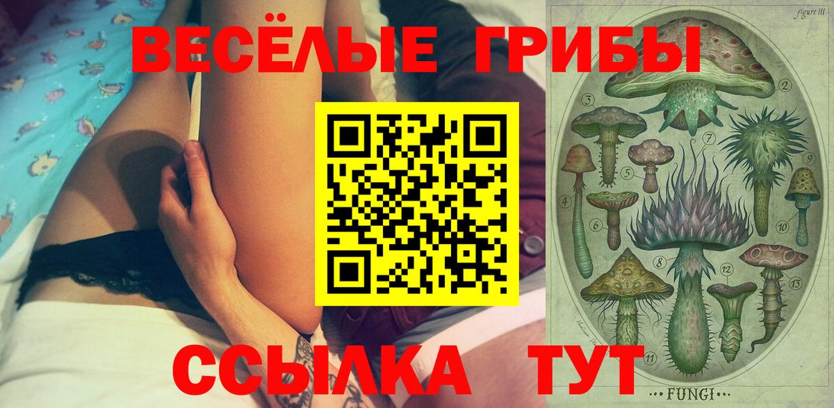 Галлюциногенные грибы мицелий Туапсе